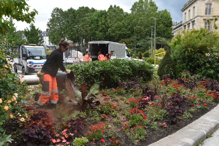 Installation du fleurissement estival fin mai