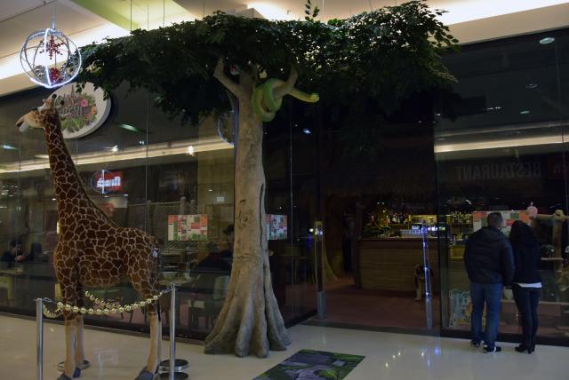 Facade extérieure de Rev'Art Jungle