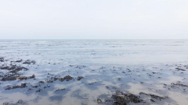 "Lumières nordiques" fait étape à Rouen "Océan de traces" d'Annica Karlsson Rixon