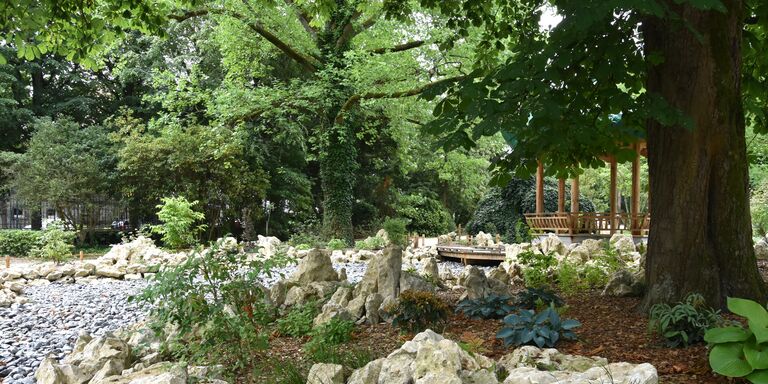Le jardin chinois du Jardin des plantes