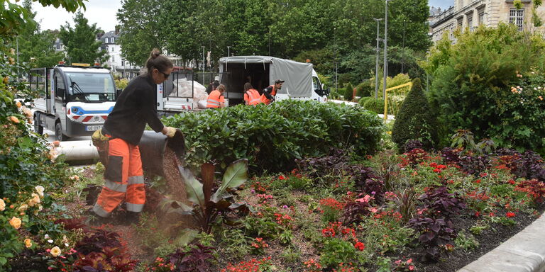 Installation du fleurissement estival fin mai